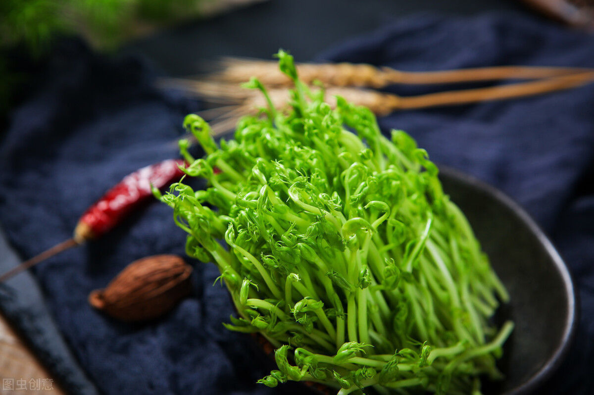 国家|不愧是“豆芽大王”牛人发明酵素豆芽机,成功销往30多个国家