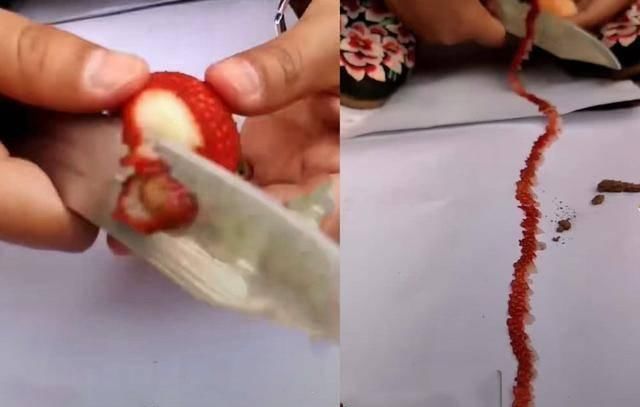 万物|万物皆可削皮忍了鸡蛋,忍了榴莲,看到最后直接献上“膝盖”