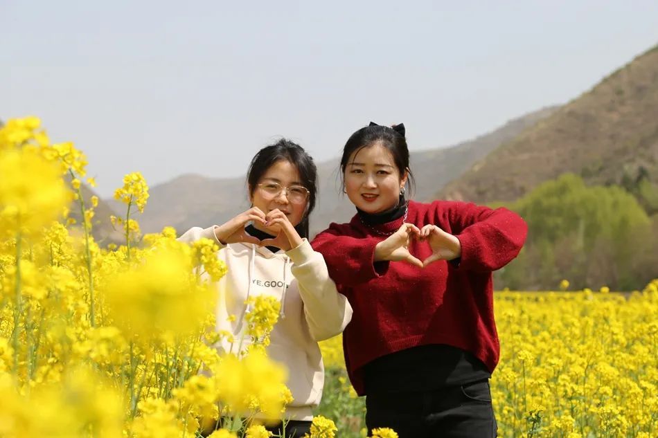 武山四门：香醋之乡，油菜花香