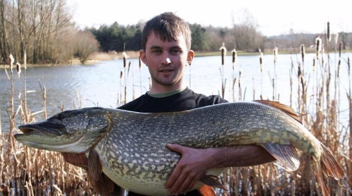 小时|吉尼斯世界之最寿命最短的昆虫,只能活几个小时,朝生暮死