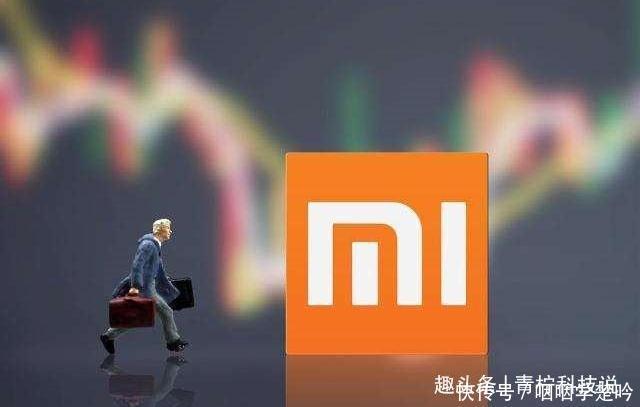 高分辨率|120Hz刷新率+超高分辨率小米11高配版曝光