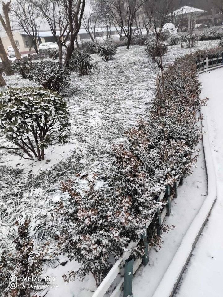 杨克汶|雪｜济南冬天的第二场雪