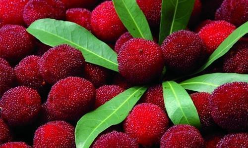 橘子|每天可以坚持吃3种食物,补充营养、改善体质,有益健康