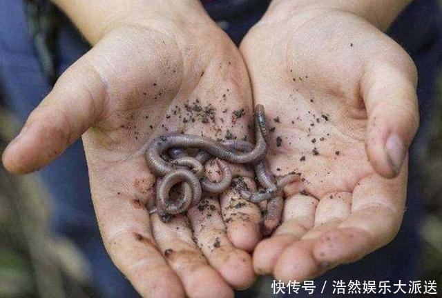 冬钓太难,大板鲫可遇不可求?按我说的做,天气再冷也能猛拉不断