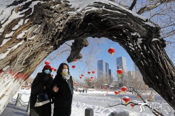 冬至雪后 晴空暖日似春归