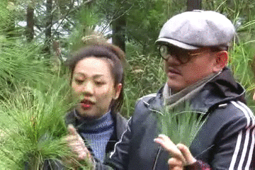 美食｜几位主持人齐齐抬竹子，难道要改行做木工？