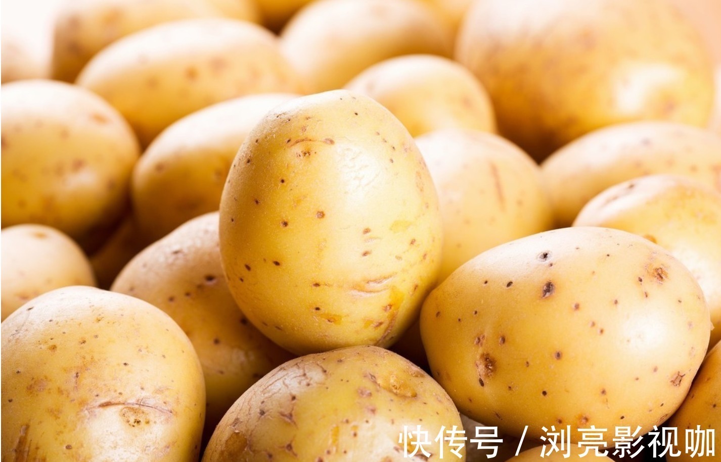 中毒者|发芽的土豆为什么不能吃如果吃了会有哪些危害