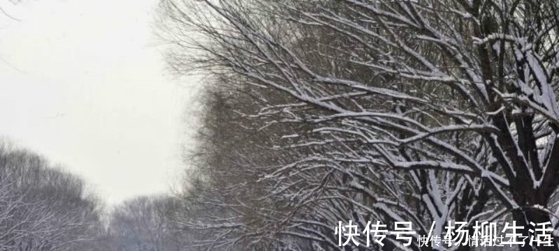 惠州一绝|苏轼很经典的一首诗,尤其是开篇的两组叠字句,读来令人拍案叫绝