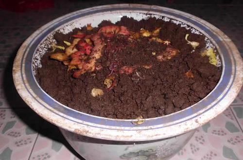 爱好者|蚯蚓钓鱼使用小技巧,让钓鱼爱好者少走弯路