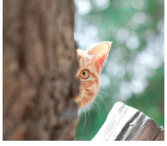 節(jié)目|人間真實！這檔節(jié)目讓我看到了社恐星人艱難的社交之路