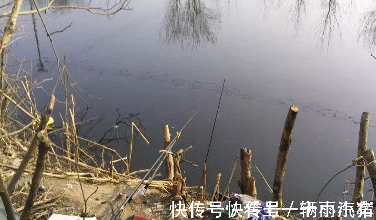 钓友|越冷越好钓鲫鱼?几点注意事项,助你满载鱼归