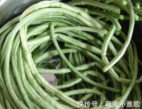 豆角|用它来包饺子,真的太鲜了,价格也不贵,大家都能吃得起!