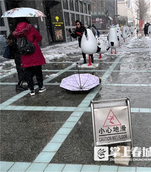 昆明|雪中胜景｜今天的雪景里藏了好多昆明人的“小确幸”