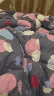 |搞笑GIF:这浪好厉害啊,拍打的妹子是猝不及防啊