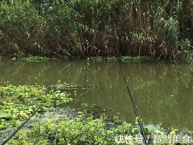 怪事|钓鱼圈的这几个“怪事”,大部分钓鱼人都遇到过