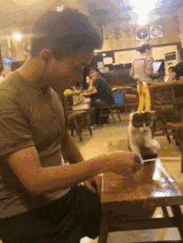 |搞笑GIF:我都不敢这么p,她却敢这么长!