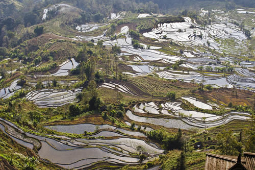 梯田|山势最险峻复杂、气势最恢宏壮观，大地雕塑最高典范，老虎嘴梯田