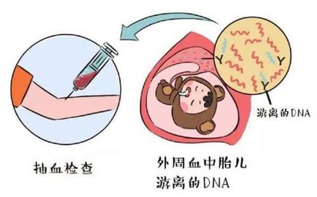 检查|NT值偏高唐筛却低风险怎么办？疑惑的孕妈，后续该关注这些检查