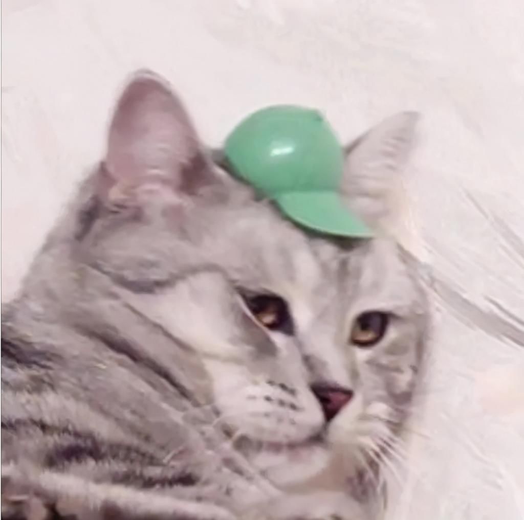 脸小|大脸女孩怎么选帽子,才能好看又显脸小?