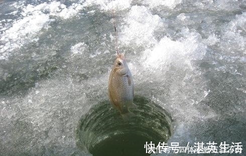 钓友|天冷如何钓鲫鱼?老钓友这3句口诀才实用,天再冷也能连竿上鱼