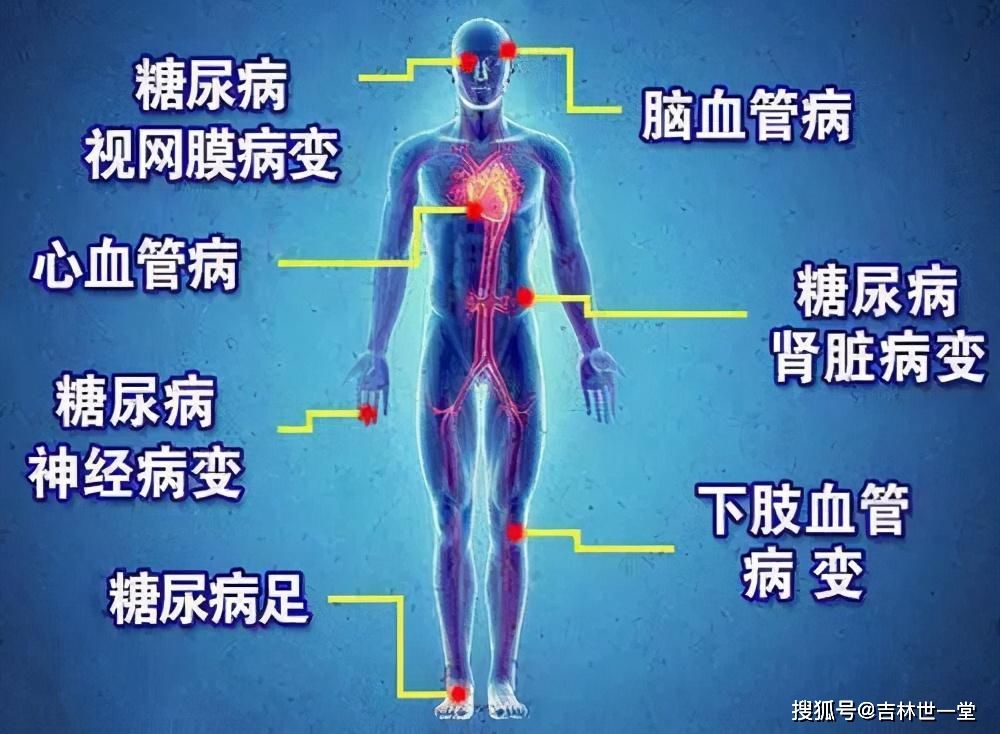 三一方修复受损的胰岛细胞,标本兼治让你