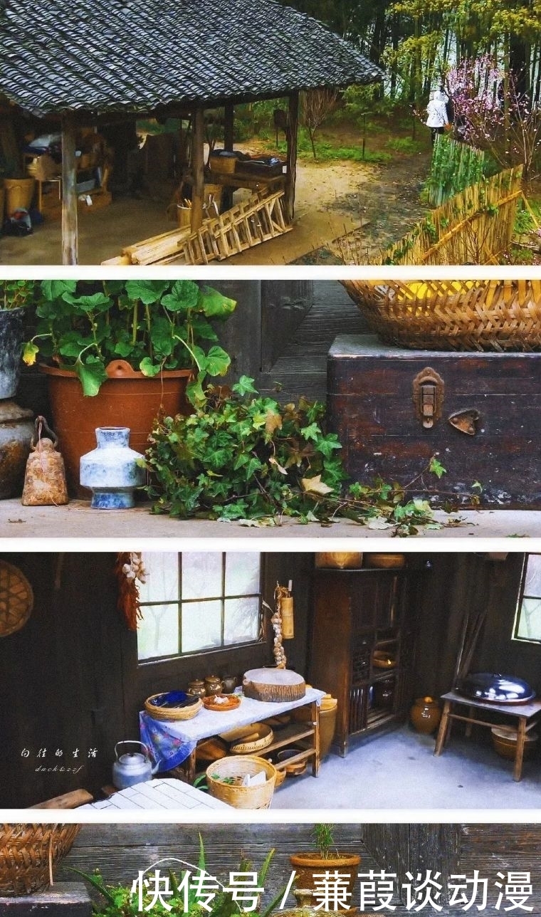 赖声川 五月综艺观看指南,点开即可欢愉一夏