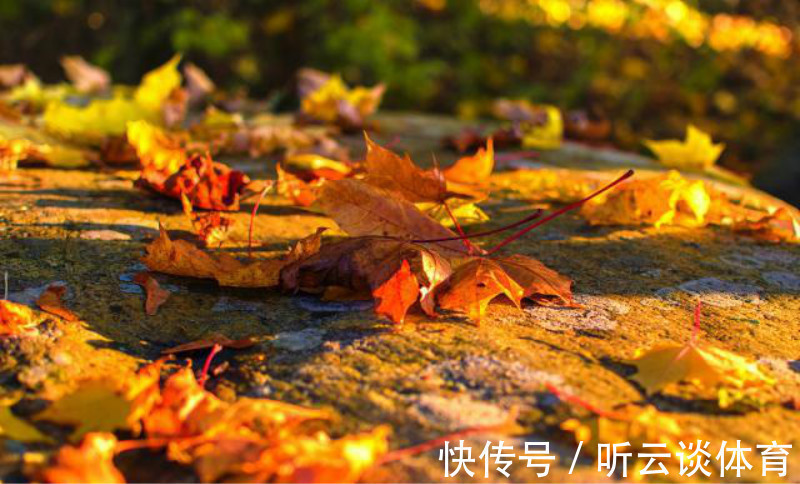 才子@辛弃疾的一句牢骚,被落魄才子巧对下半句,成一个家喻户晓的名句