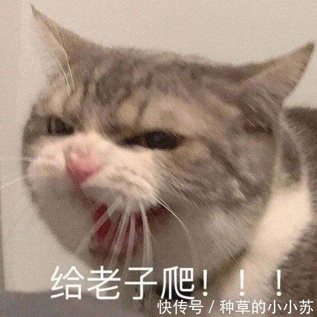 穷人|超市里“最不起眼”的几款护肤品，穷人看不起，有钱人却抢着买
