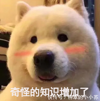 洗面奶 护肤品别总跟风,这3种“国货”也好用!我不说,你未必会知道!