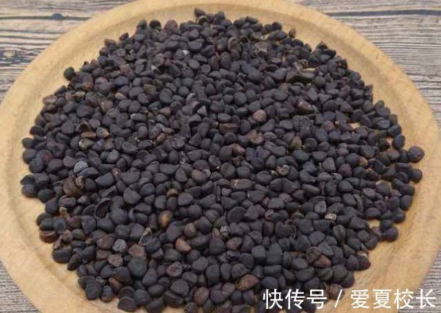 治病|墙角一朵花，种子能治病！咽喉肿痛、腰疼、水肿、咳嗽立马见效