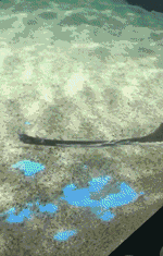 |搞笑GIF:我就想知道门口那两位在干什么