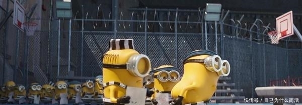 知错就改|如果我们都像格鲁一样知错就改,我相信我们的生活会更加美好