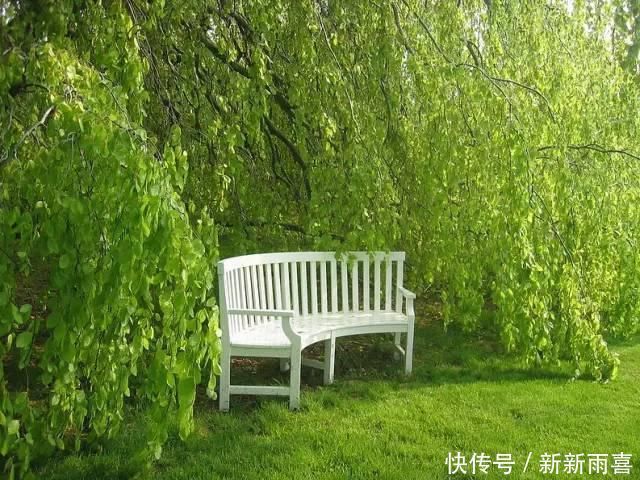 60款豪宅花园设计，自然安静的生活就该如此惬意