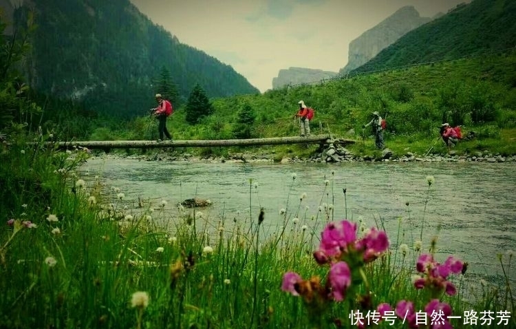 迭部|迭部措美，不忍错过的美丽