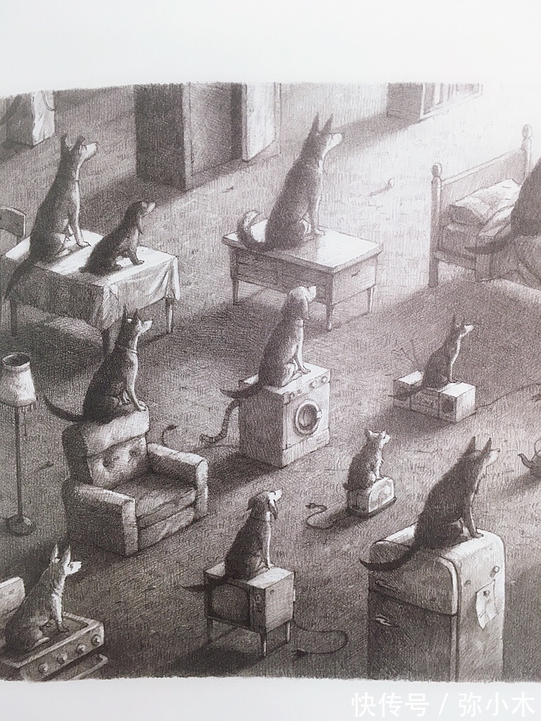 温暖|这本童书里的温暖,是文字与图片的力量吧