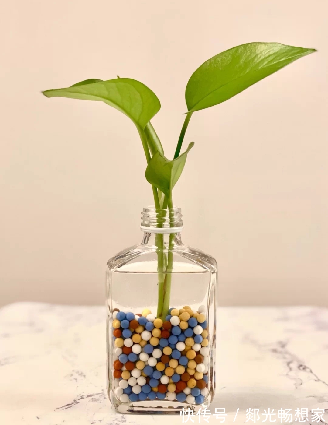 收纳|一时脑热,跟风买的这12个小物,两周过去再也离不开了