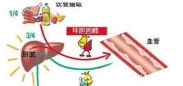 血脂|医生舅舅高血脂，为什么医生说不用吃药，先这样血脂也能正常