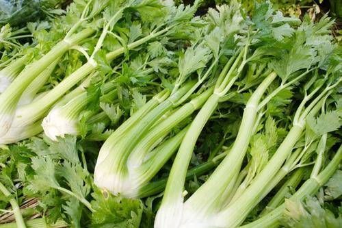 女人不做黄脸婆就多吃补水的菜，有助补水抗衰老，皮肤白皙更滑嫩