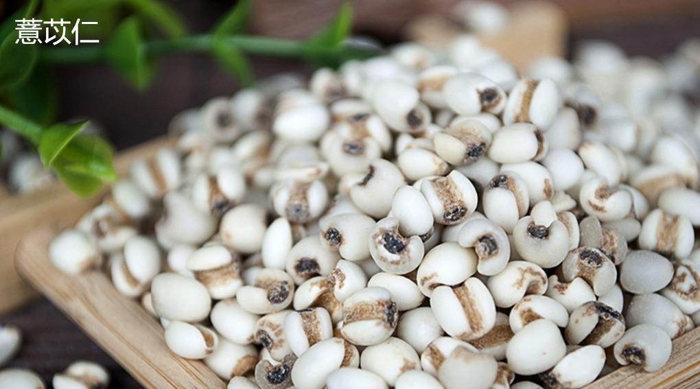 除湿|两味小中药,管腿沉、腿肿!一个祛风一个除湿,值得研究