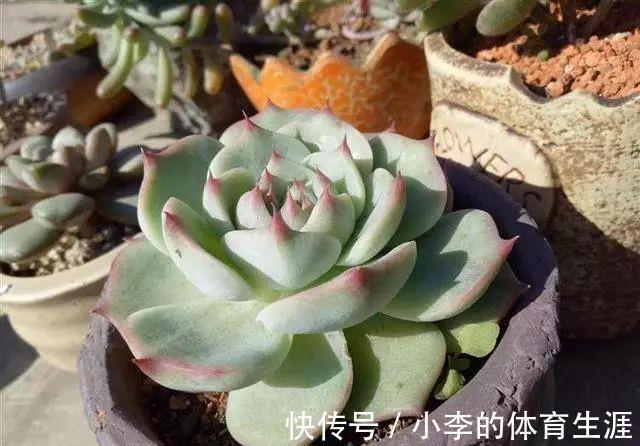 要想成为一名合格的肉友,你还需要知道这些黑话