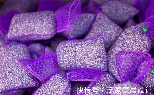 薰衣草|睡眠不好,一宝放在枕头边上,一觉睡到大天亮,还可防疾病