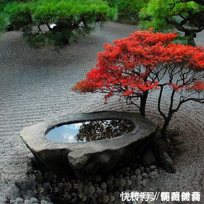 竹篱笆|日本庭院为何大受欢迎?这14个日式庭院设计,果然诱惑满满