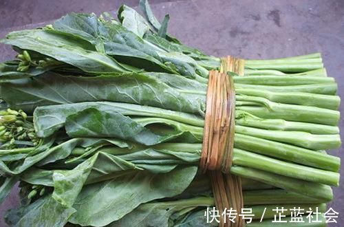 排毒养颜|5种让人头疼的“害草”,个个都是“抗癌王”,比蒲公英好100倍