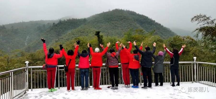 大竹海|正月下江南（1）雨中游太湖古镇，游览雪后中国大竹海