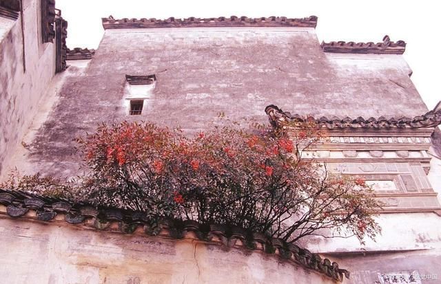 牛羊$14首山村诗词夕阳已向西山落,又是秋声到我家