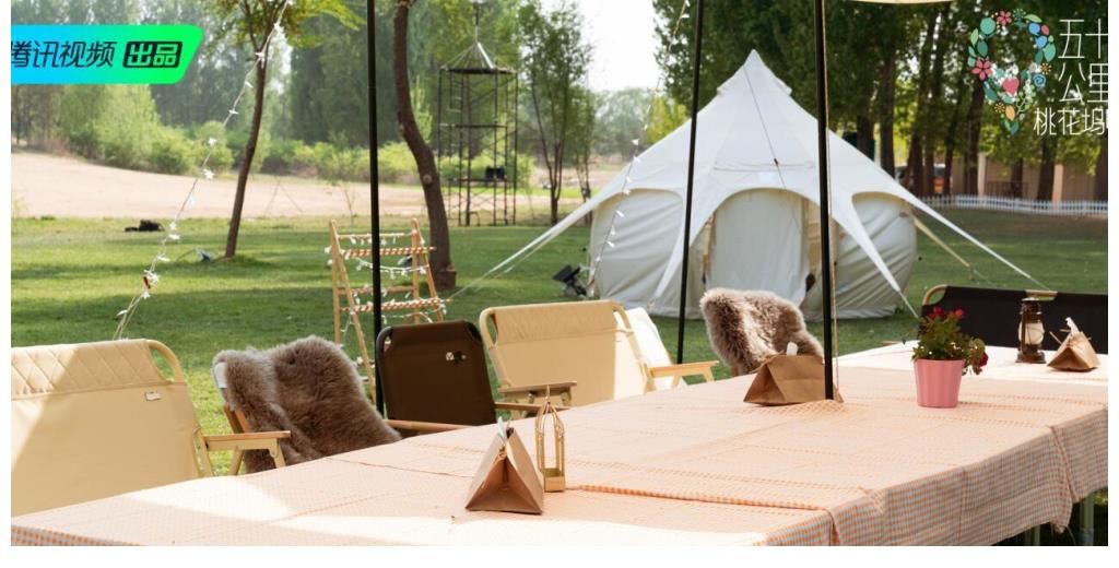 节目|因为一个神秘人的存在，这档收视率越来越高的综艺注定尴尬到收官