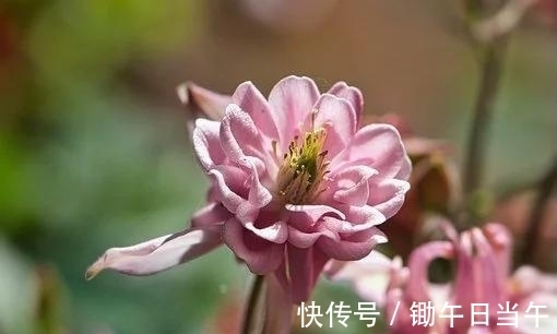 挂念|往后10天，痴心挂念，意义难忘，从天而降，交出真心，爱你一生