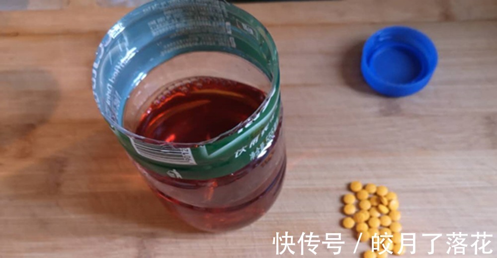 寒露前后,到了钓鲫的好时节,备好这款酒米窝料,大板鲫都是你的!