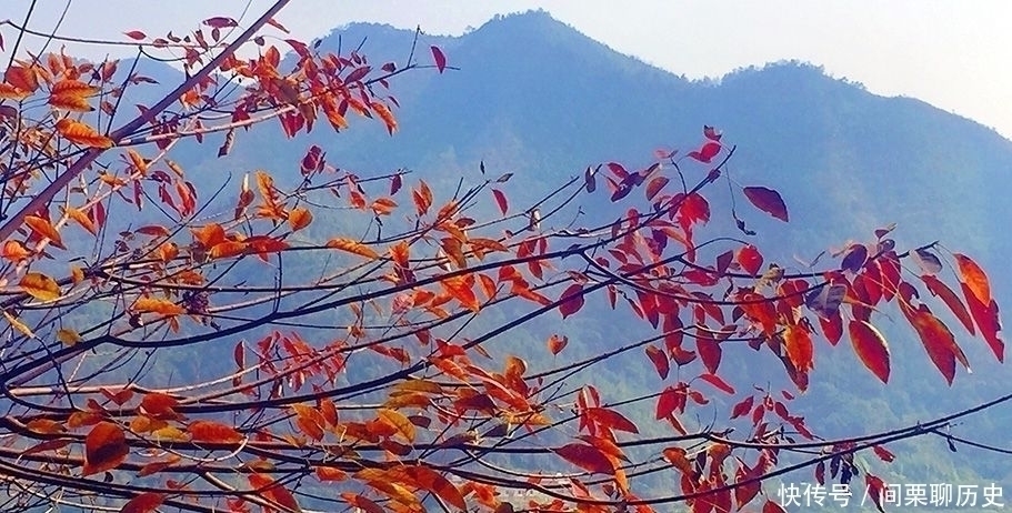 一点通|唐代李商隐的一首诗,被现代人借用成金句,你喜欢古今哪个版本?