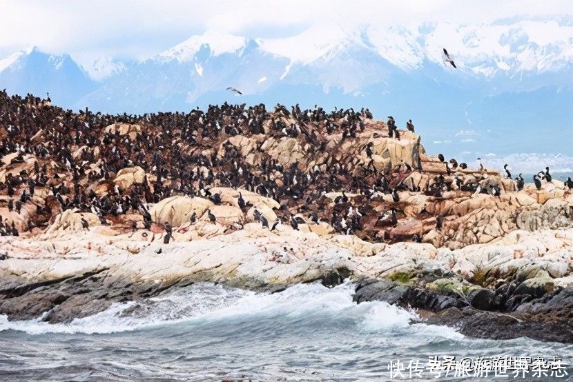 杨元惺|杨元惺：清澈的诗意